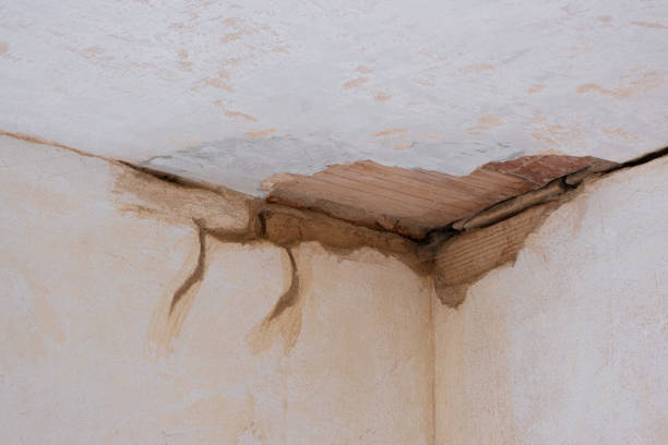 Best Residential water damage restoration  in Herrin, IL