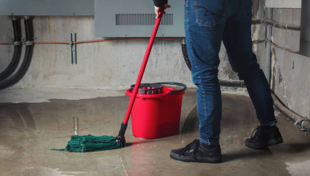Best Ceiling water damage repair  in Herrin, IL