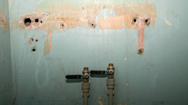 Best Water damage restoration near me  in Herrin, IL