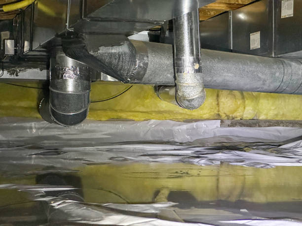 Best Carpet water damage restoration  in Herrin, IL