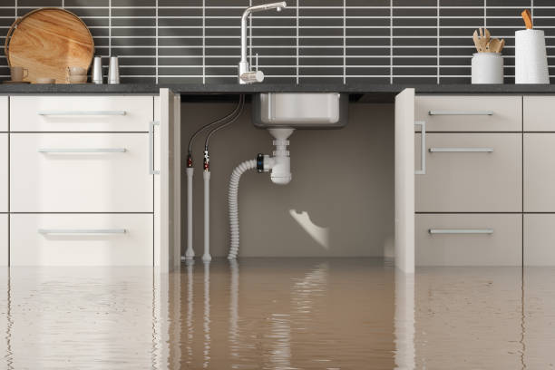 Best Basement water damage restoration  in Herrin, IL